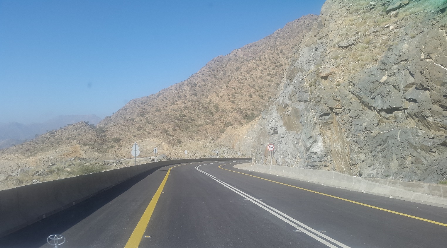 مشاريع الشركة